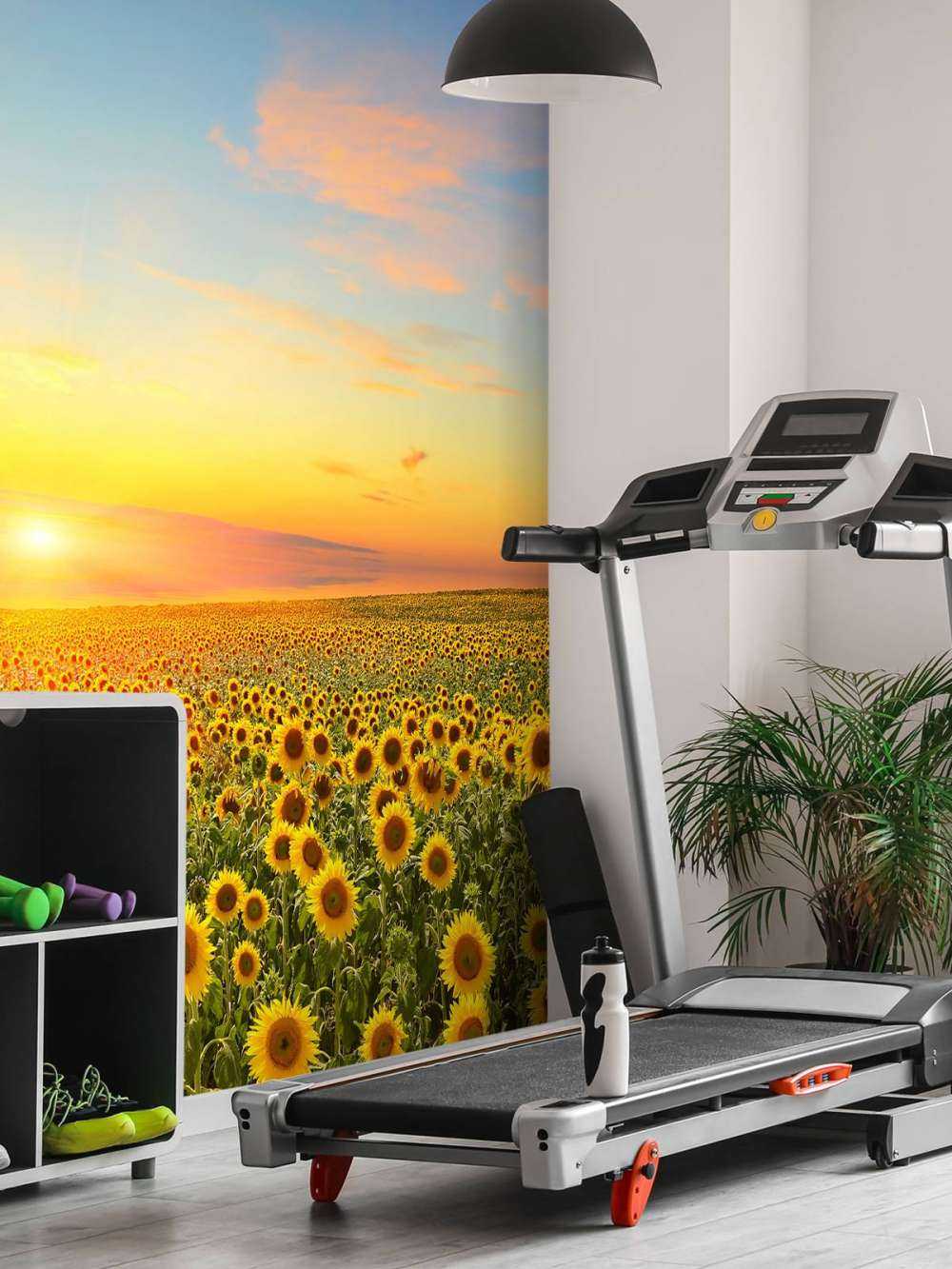 Zonnebloemen bij zonsondergang