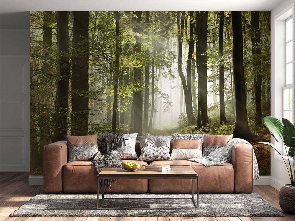 Mistig bos in de herfst