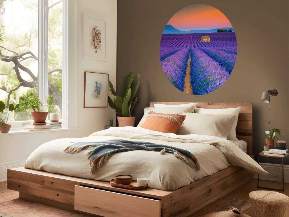 Prachtig bloemenveld van lavendel