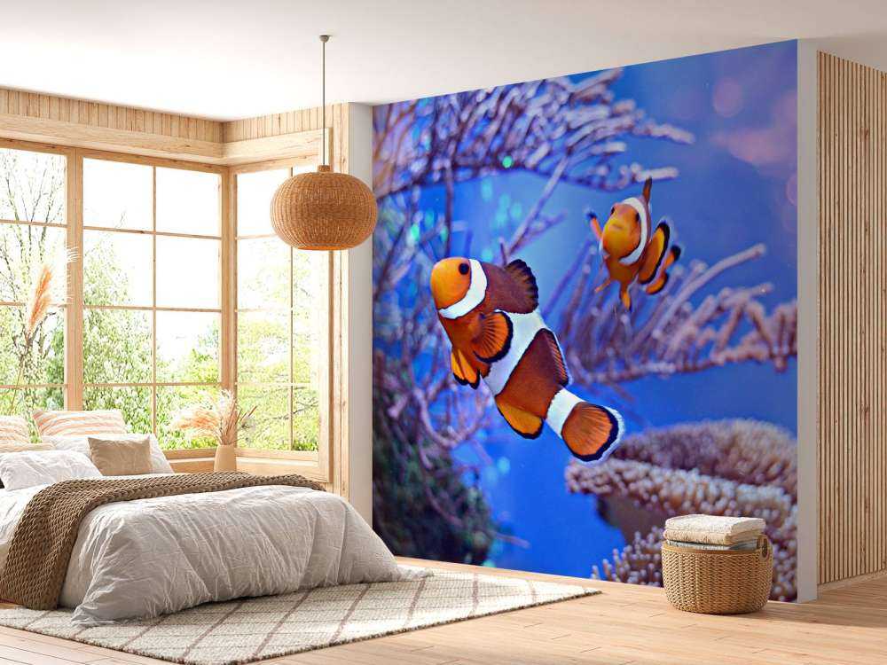 Anemoonvissen in een groot aquarium
