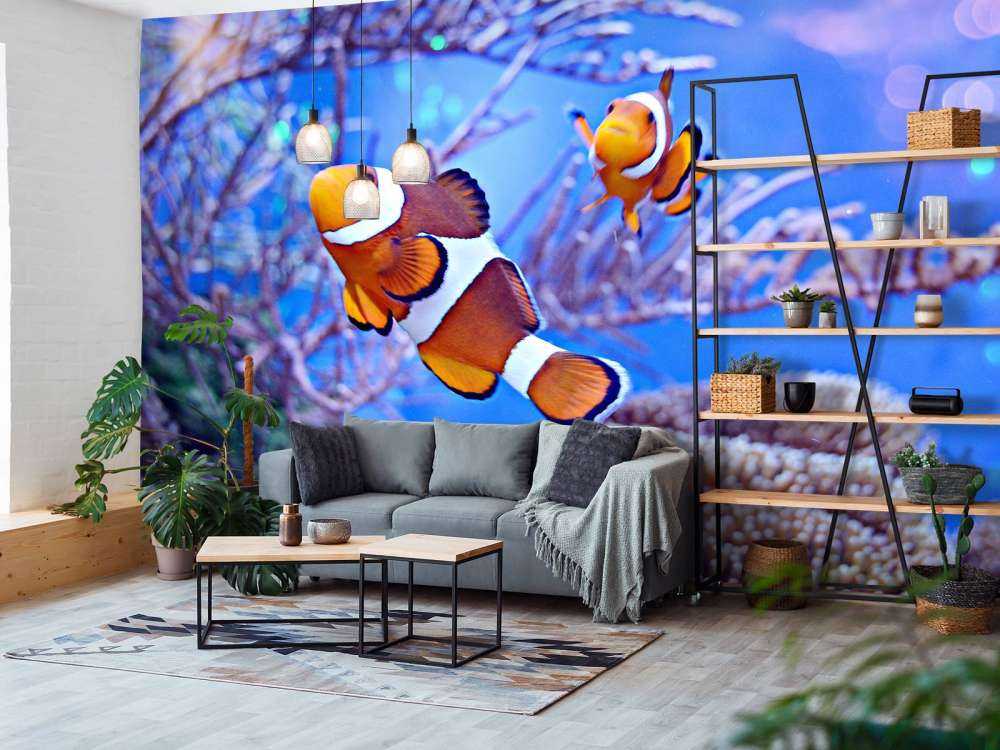 Anemoonvissen in een groot aquarium