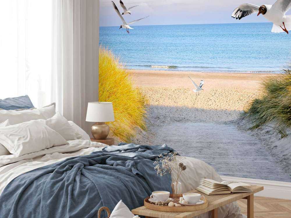 Meeuwen langs de Baltische kust