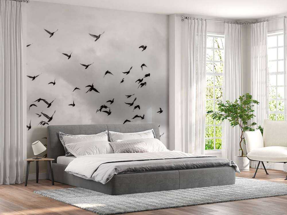 Vliegende duiven in zwart-wit