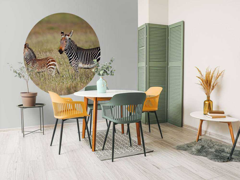 Kaapse bergzebra met een veulentje