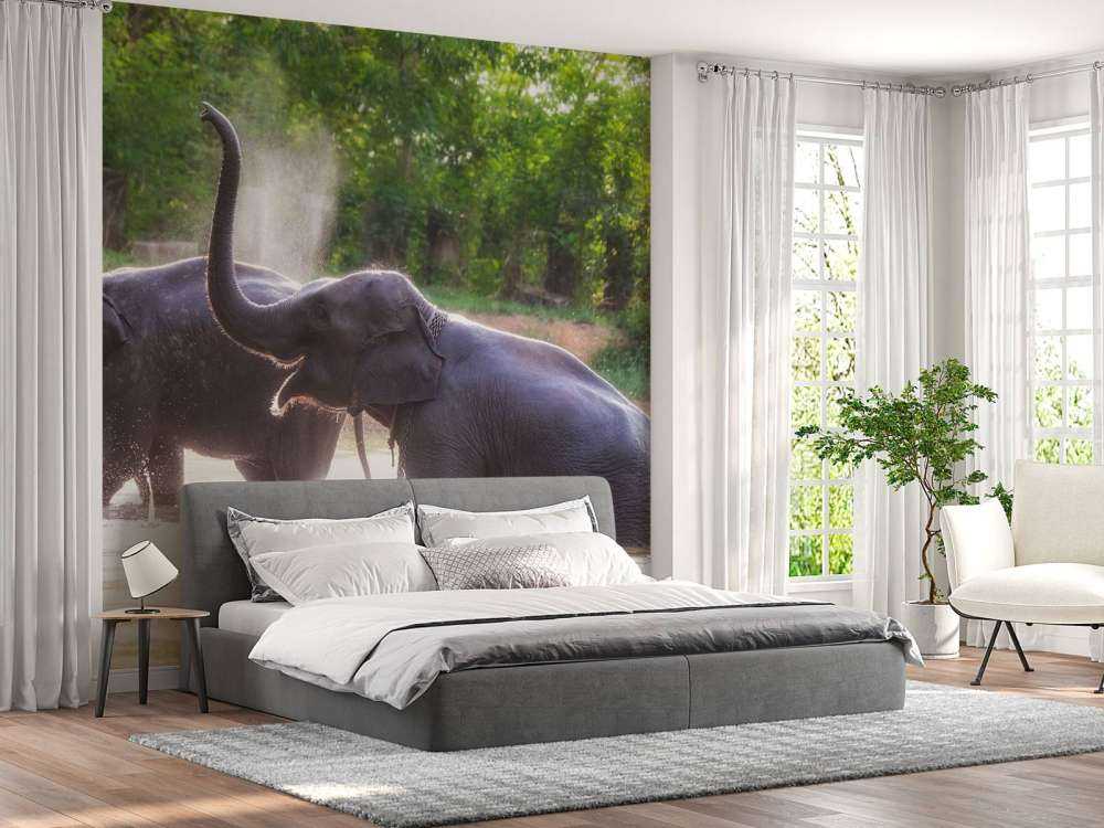 olifanten spelen in het water