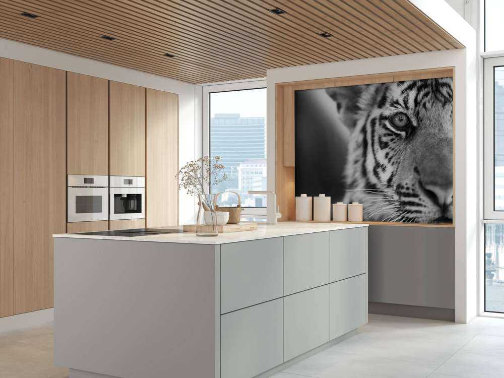 Mooie tijger in zwart-wit