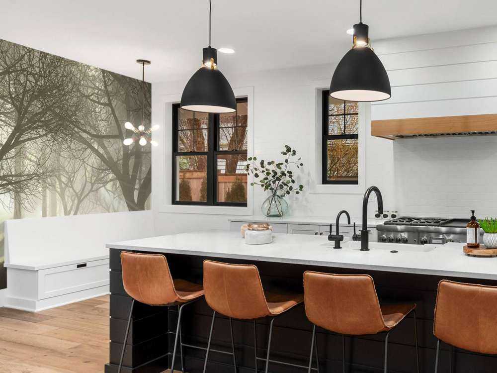 Mysterieus donker bos