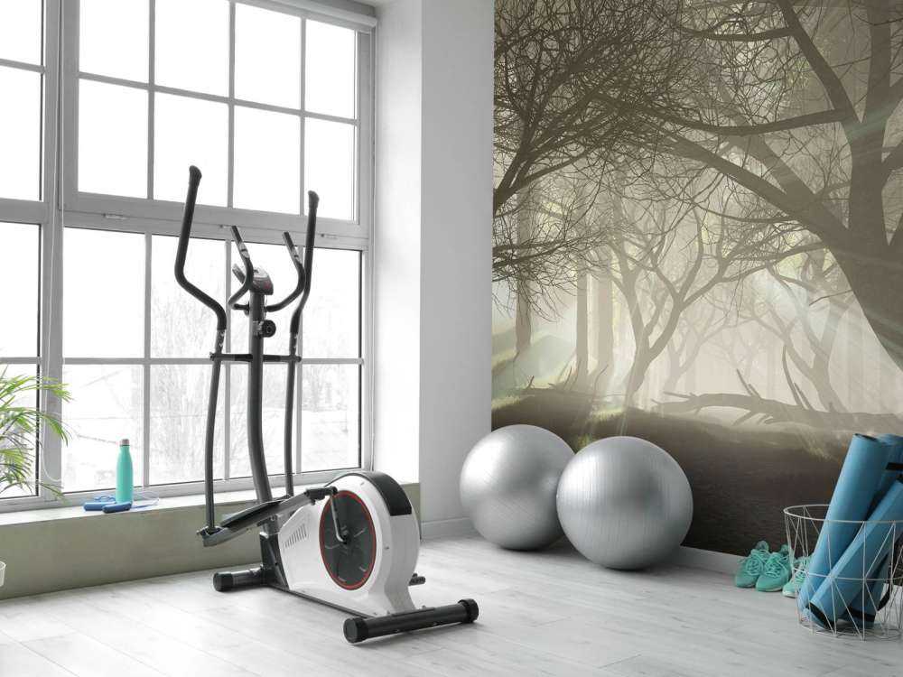 Mysterieus donker bos