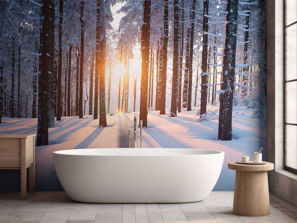 Zonsondergang in een winterbos