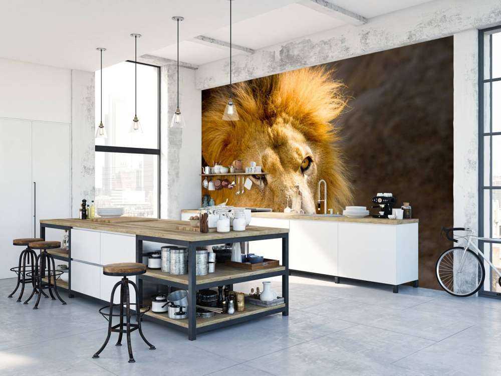 Starende Leeuw Close-Up