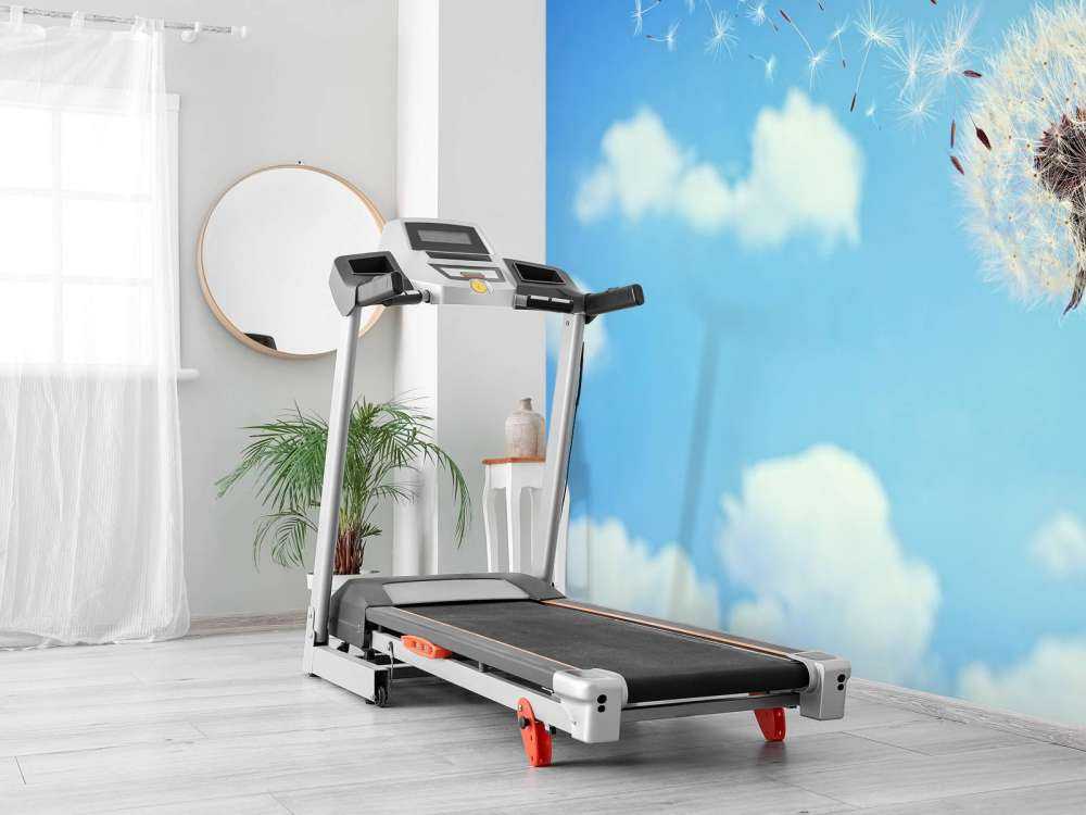 Vliegende paardenbloemzaadjes