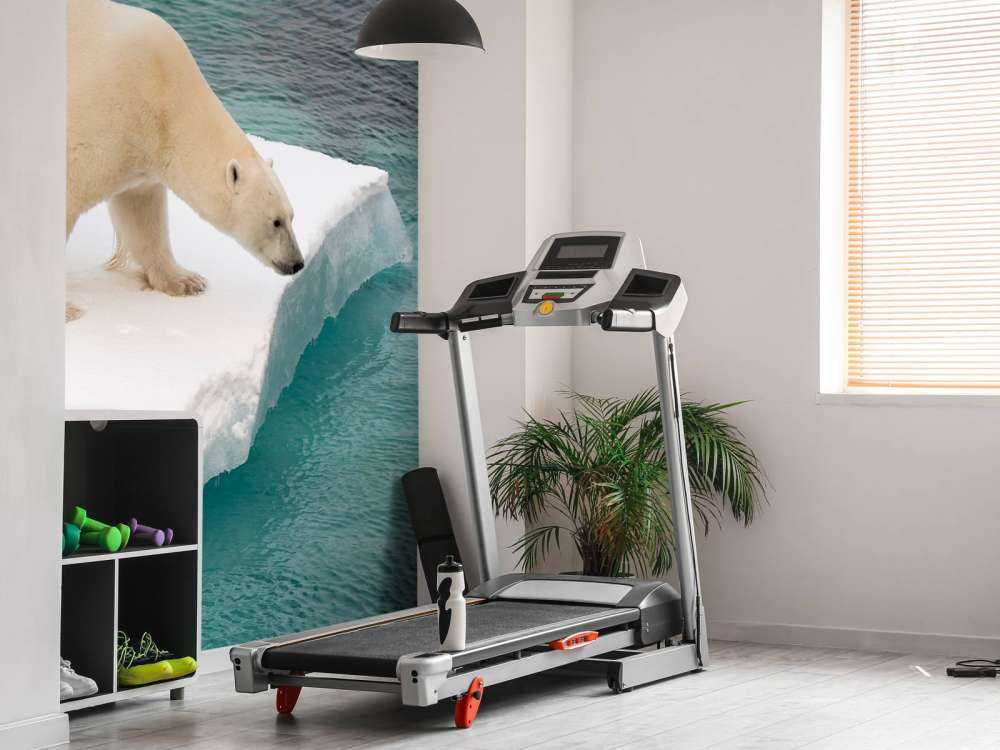 Een ijsbeer observeert de zee