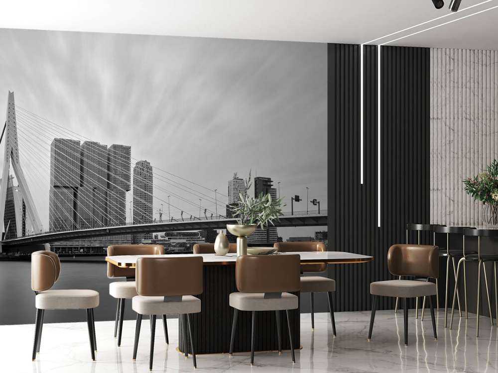 Erasmusbrug zwart wit