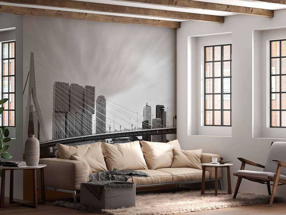 Erasmusbrug zwart wit