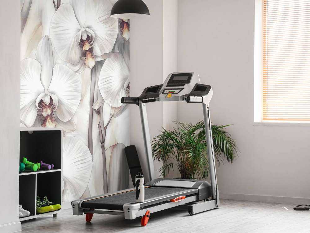 Orchids Paradise Orange