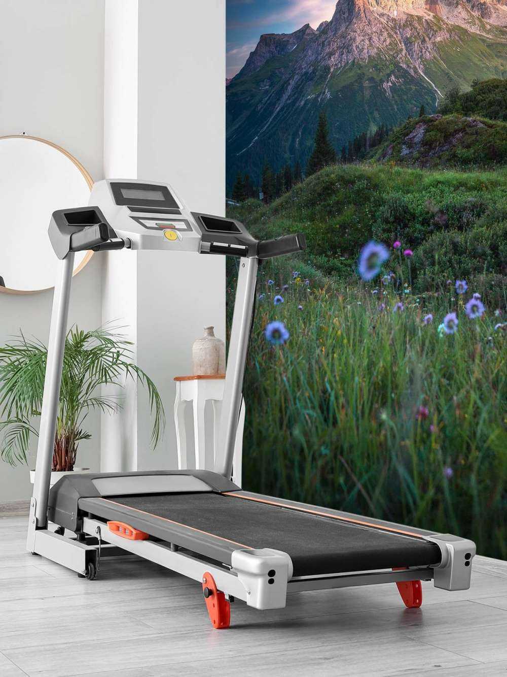 Avondlicht over bloemenvallei