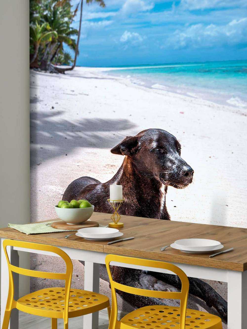 Zwarte hond aan tropisch strand