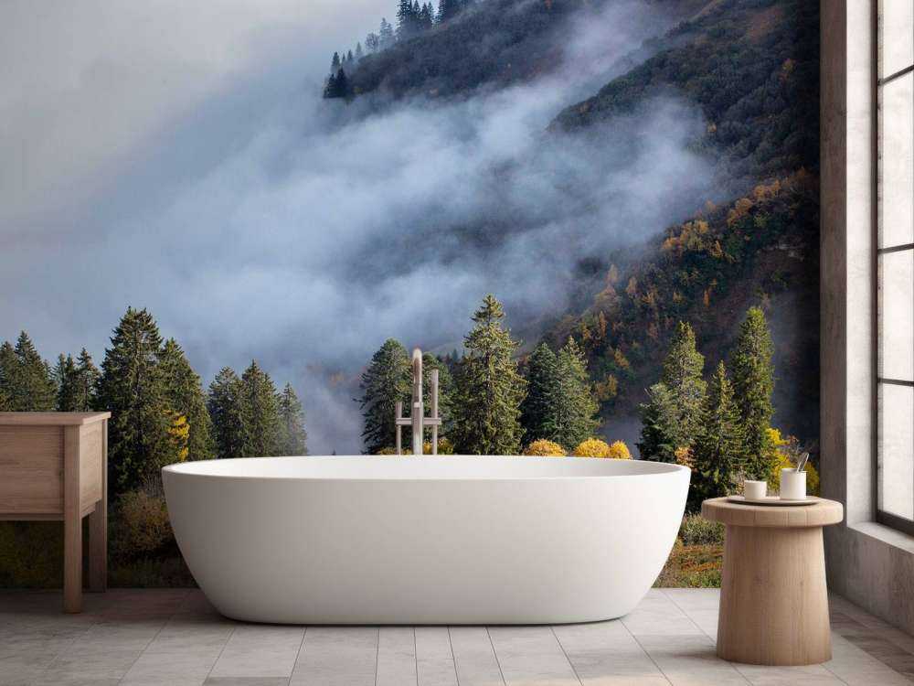 Herfstochtend in mistig bergbos