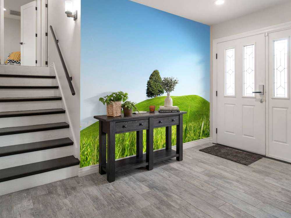 Eenzame boom op groene heuvel