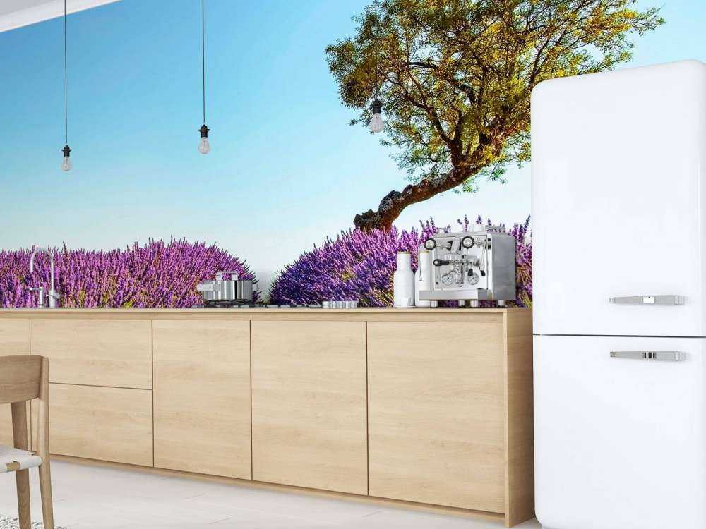 Lavendelpad onder blauwe hemel