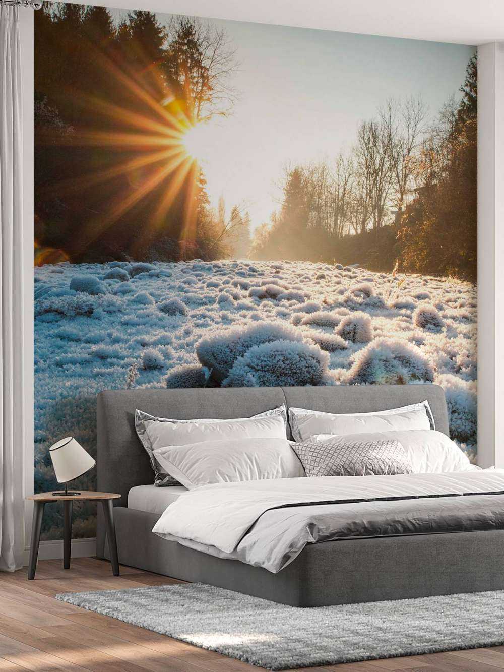 Ijzige ochtend in winterbos