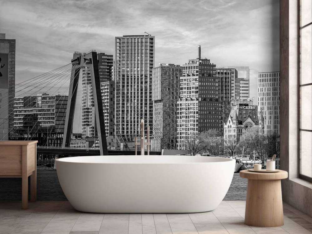 Zwart-Wit Skyline met Willemsbrug