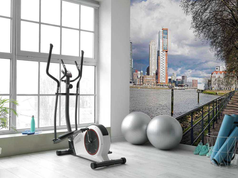 Rotterdamse Skyline vanaf de Kade