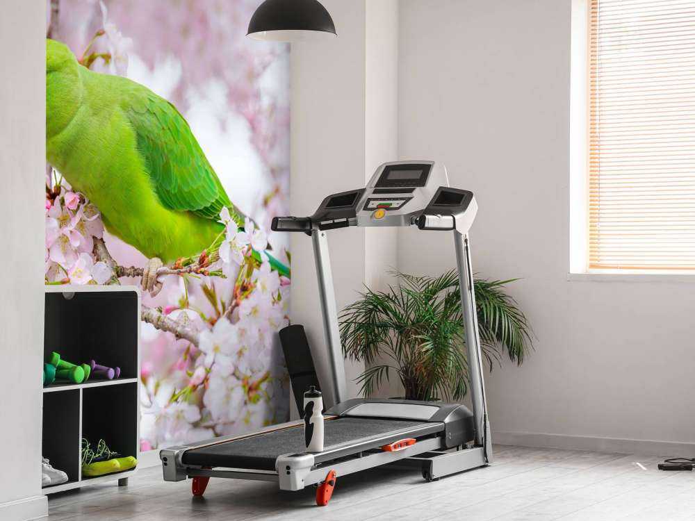 Parrot sitting on blossom tree