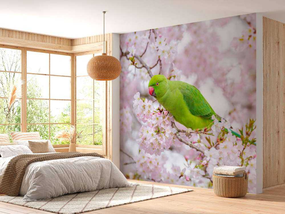 Parrot sitting on blossom tree