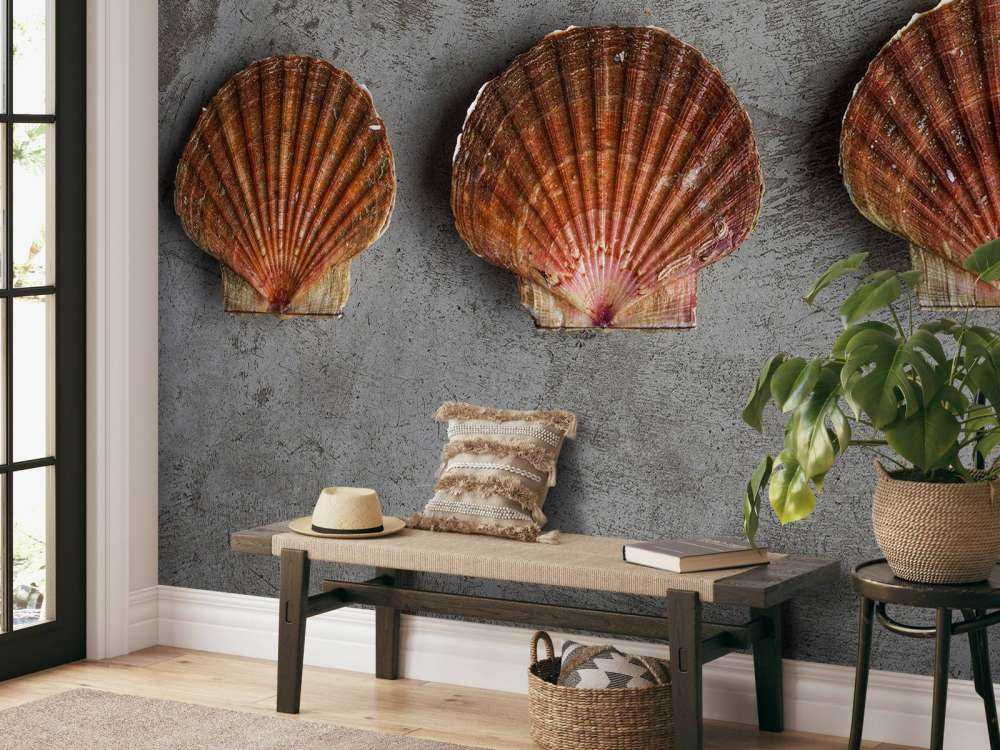 Drie schelpen