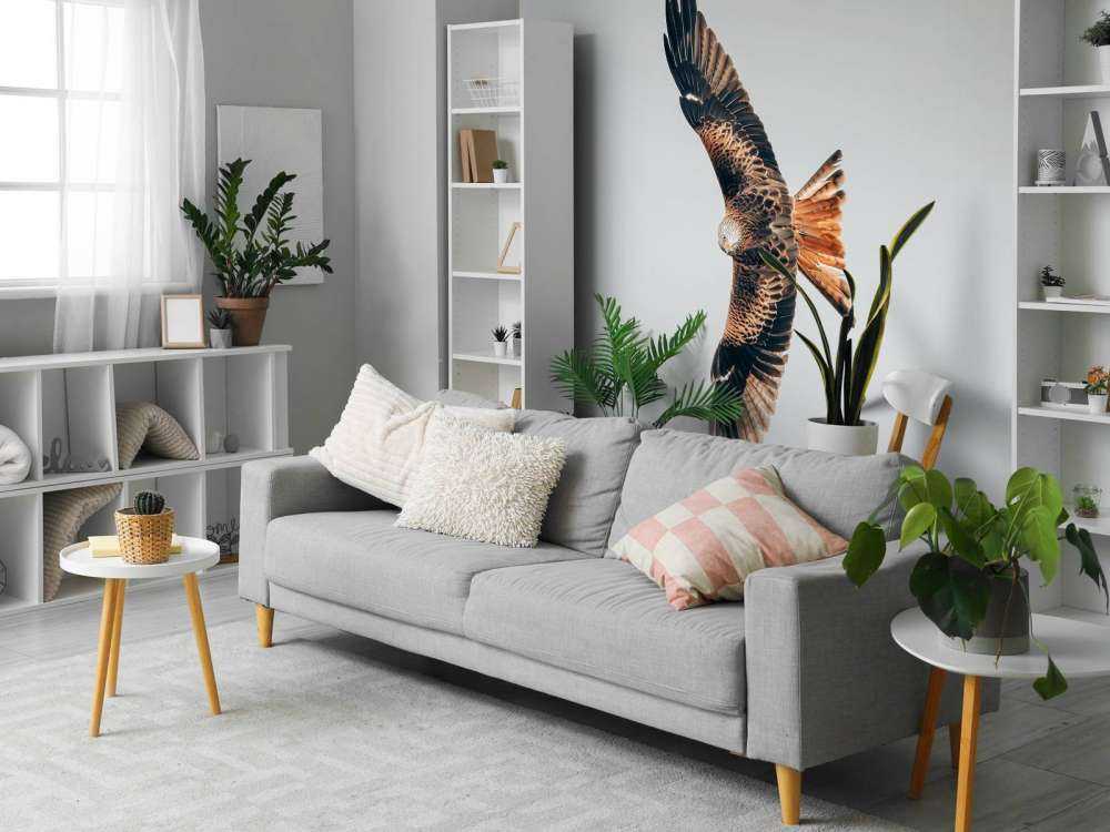 Rode wouw met gespreide vleugels