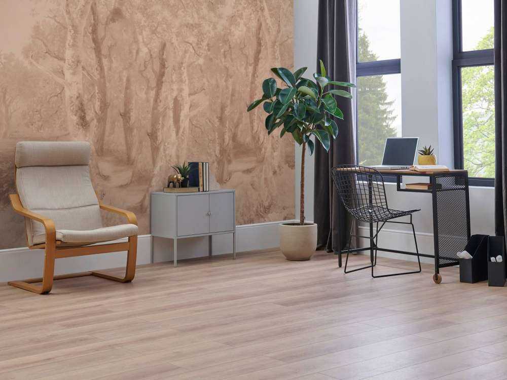 Forest Landscape Terra Panorama