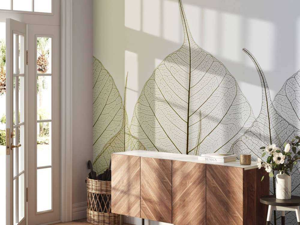 Skeleton leaves on coloured background