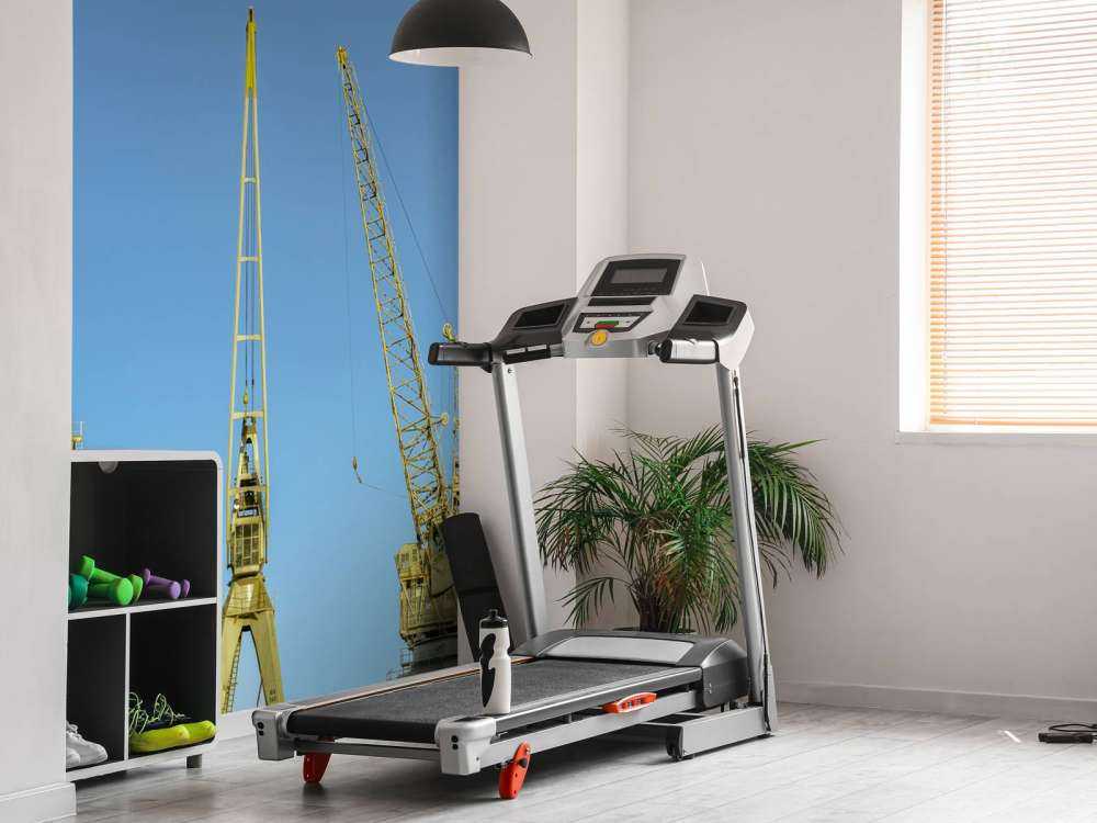 Kranen in de haven van Antwerpen