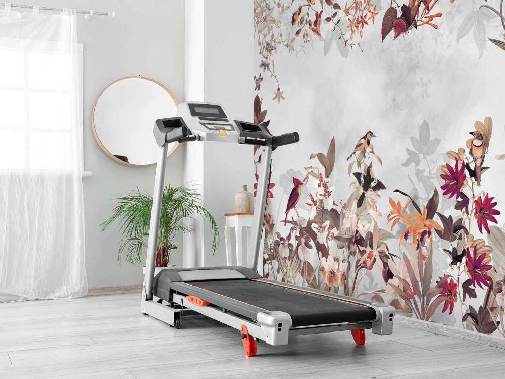 Brick Wall in Garden 7