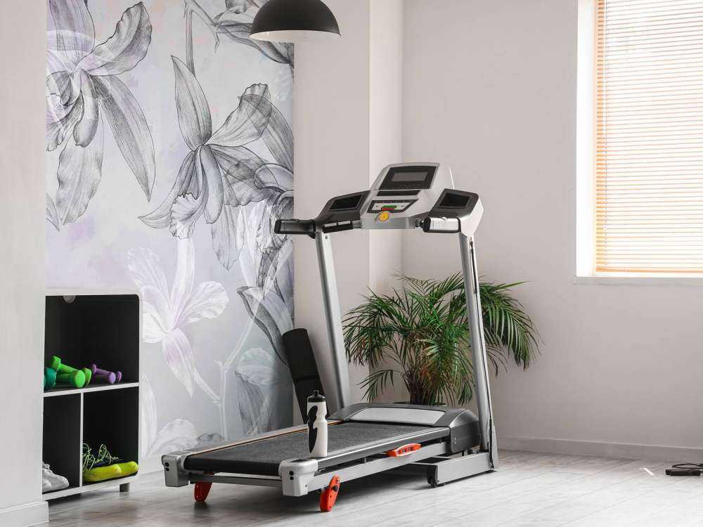 Orchid Dreamscape 2-tone Purple