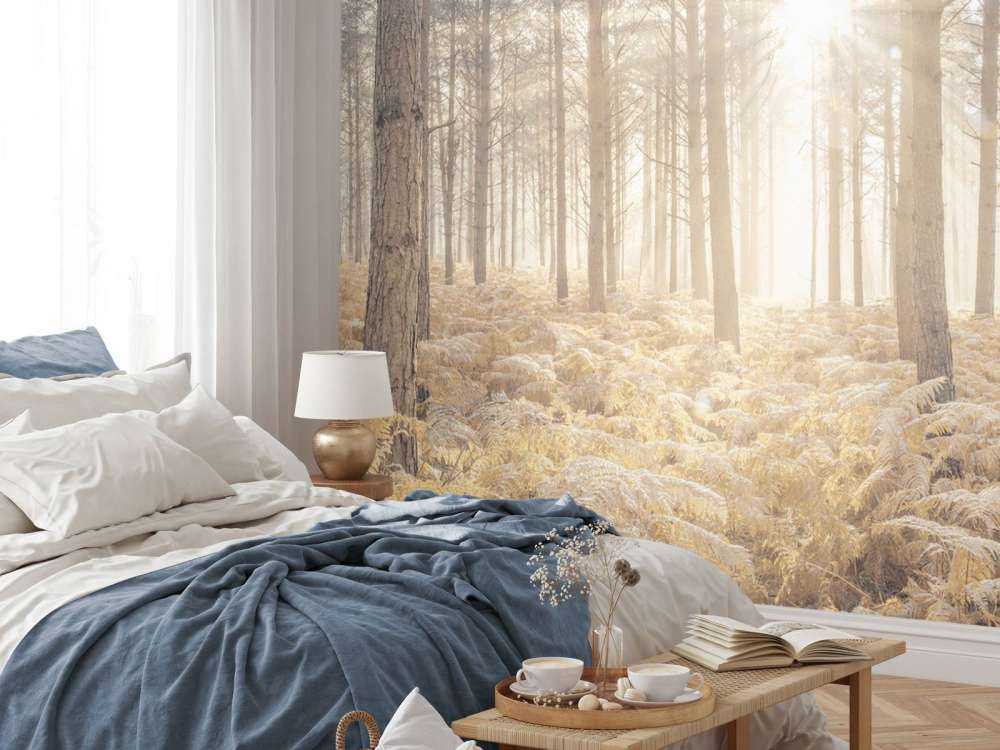 Zonnestralen in het koude bos