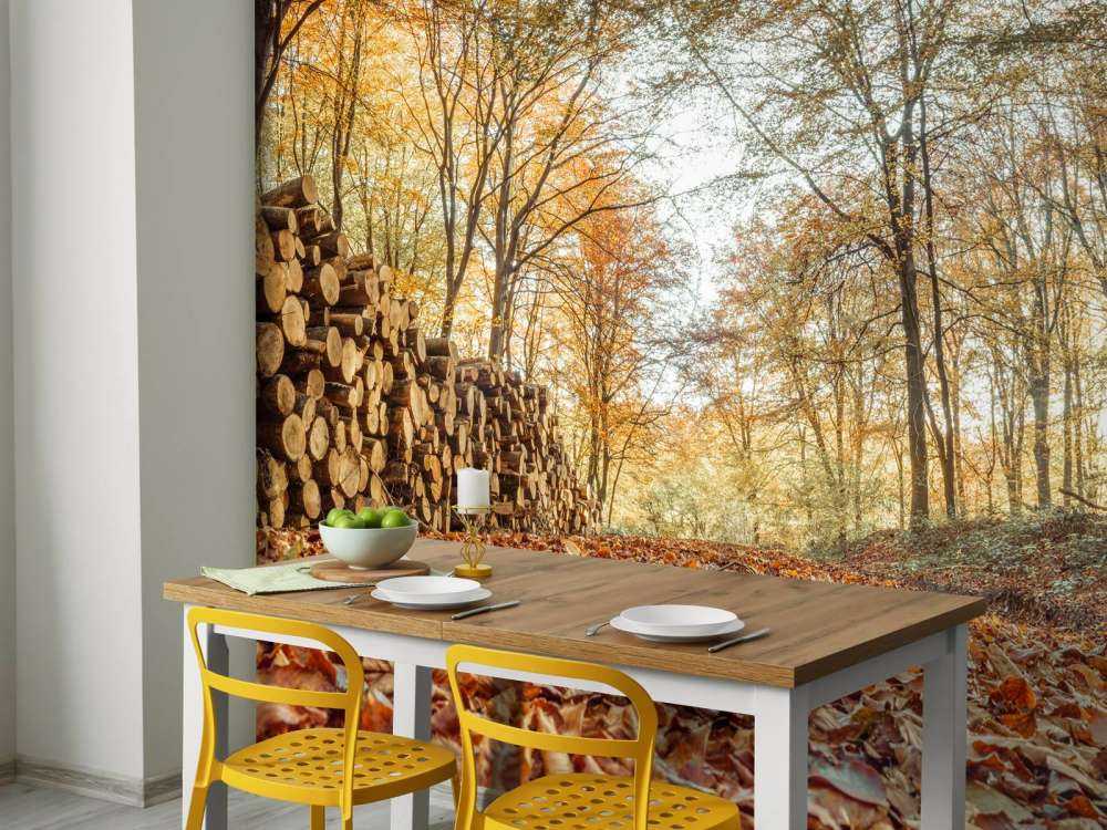 Boomstammen in herfstbos