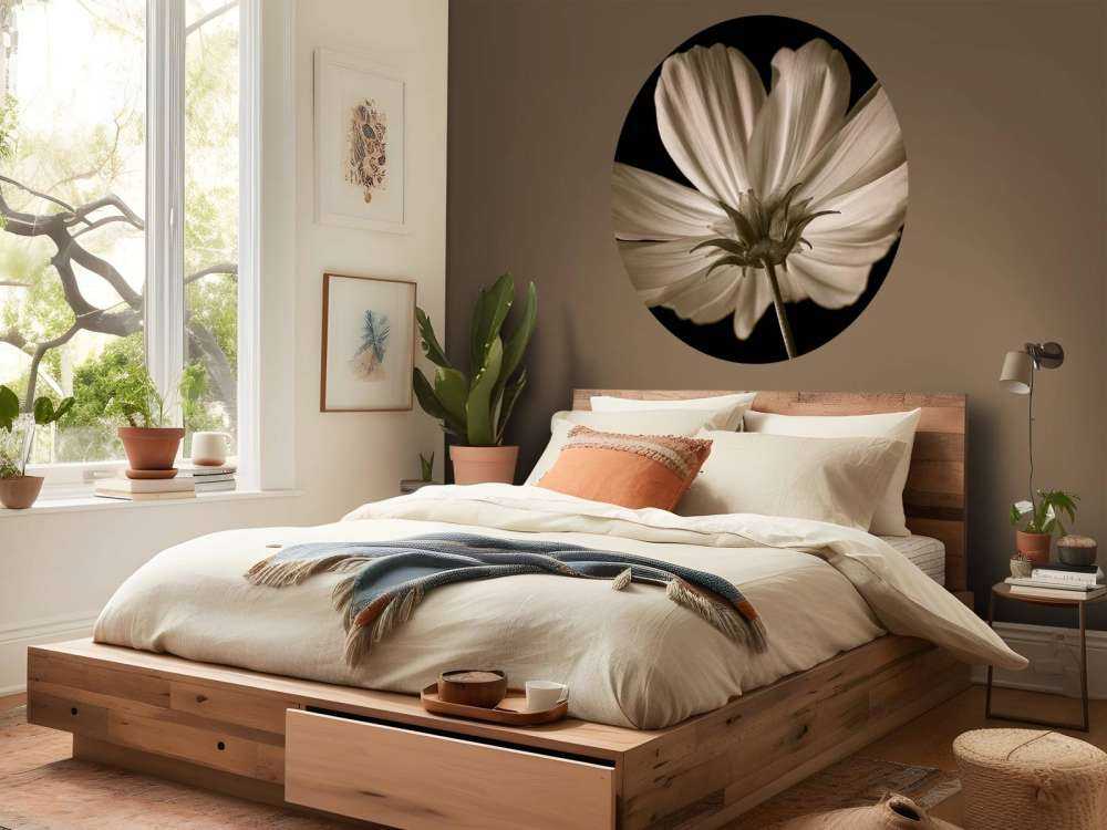 Cosmos bloem van onderen