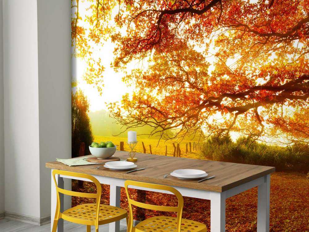 Herfstlandschap met bos en weide