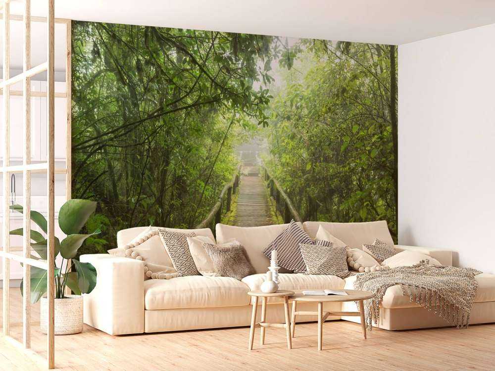 Groene, mistige jungle