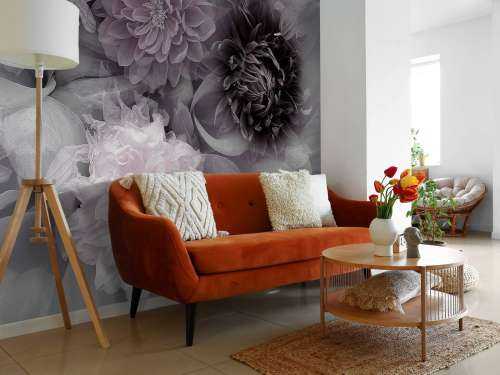 Dahlia dream