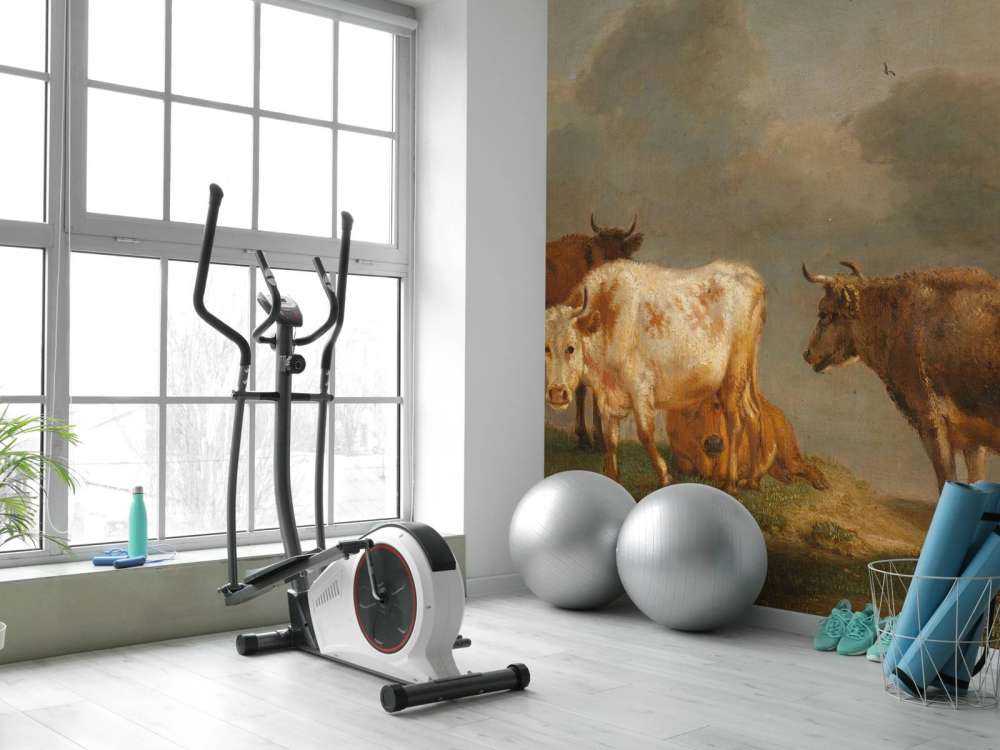 Vier jonge stieren in de wei