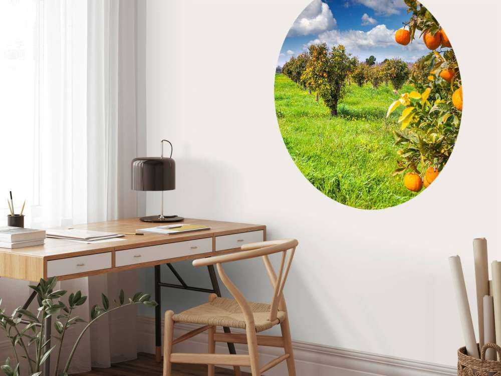 Sinaasappelbomen in Sicilië