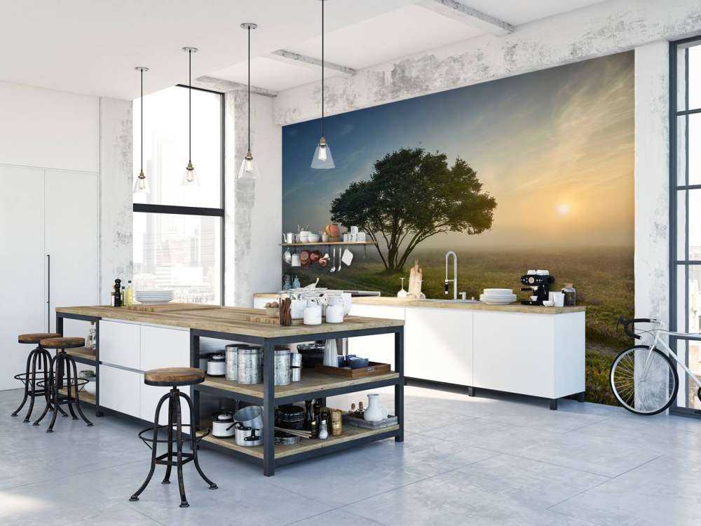 Zonsopkomst op de heide