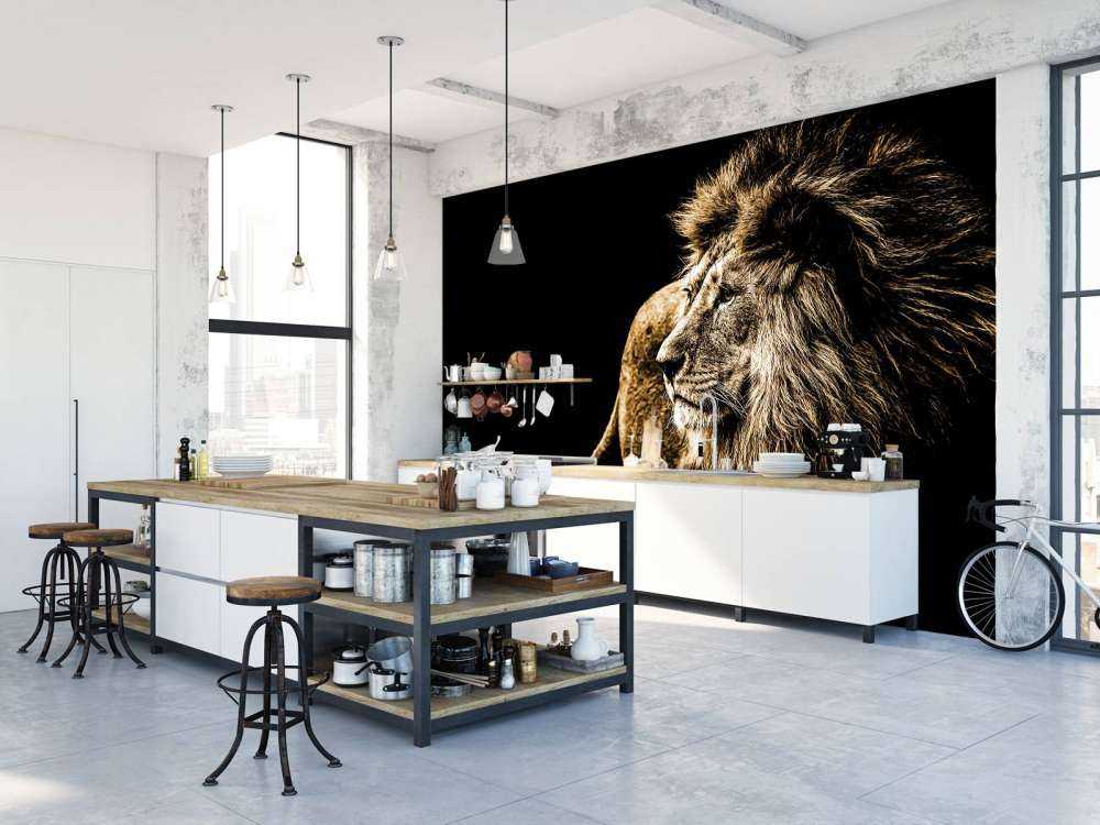 Harige leeuw met een zwarte achtergrond