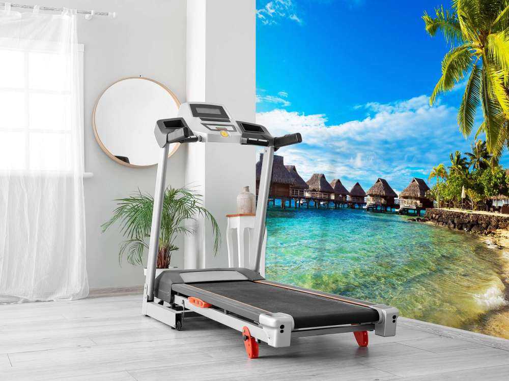 Palmbomen op Bora Bora