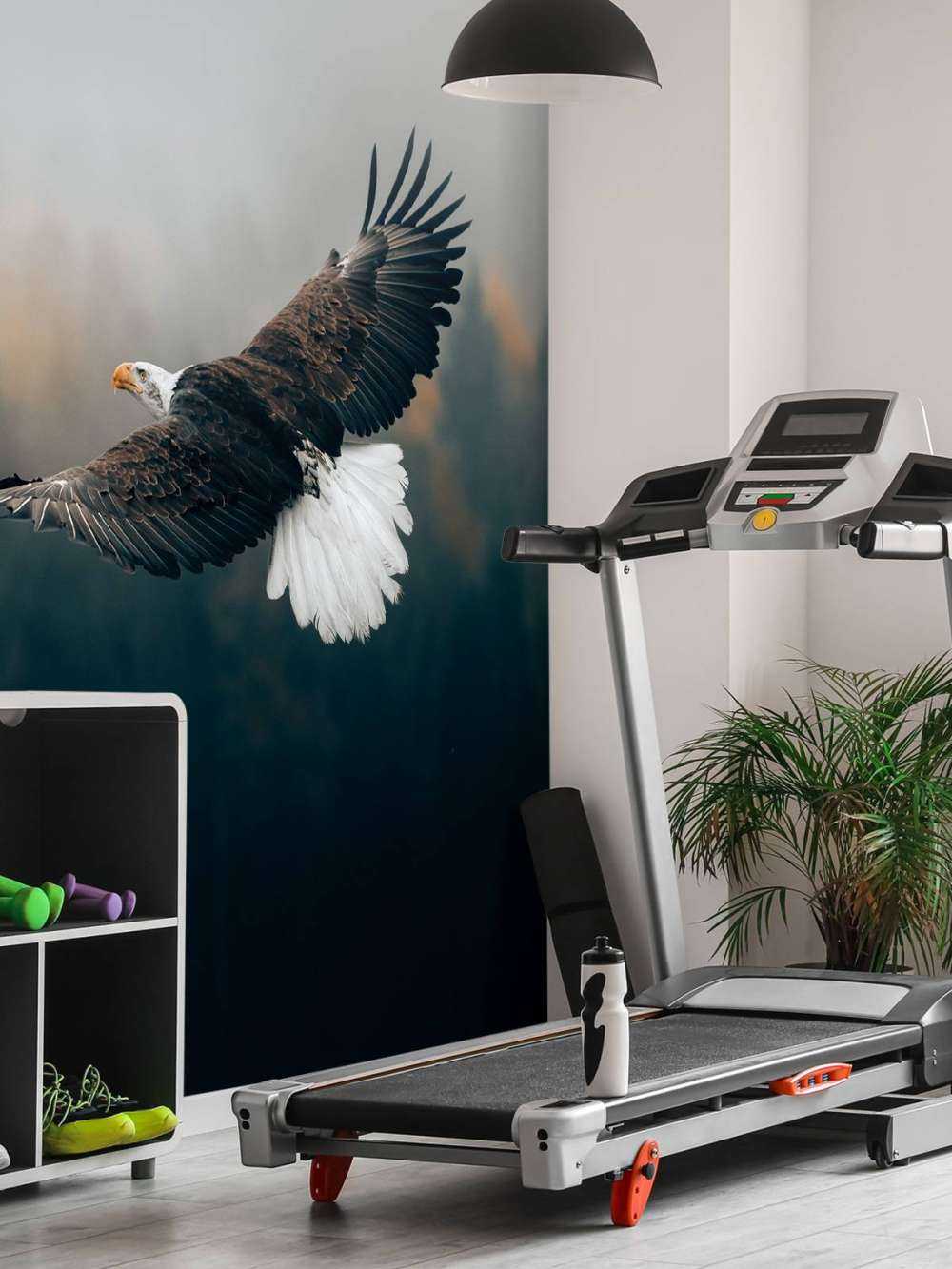 Zeearend boven het bos