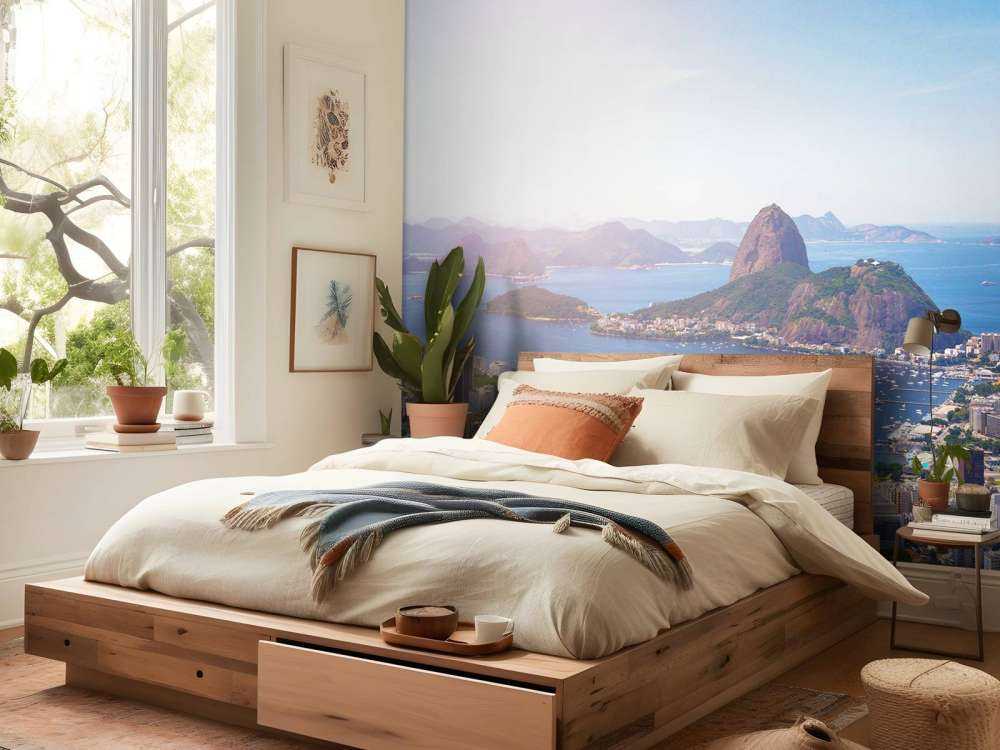 Rio de Janeiro landschap