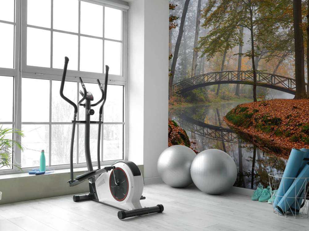 Bruggetje in het herfstbos